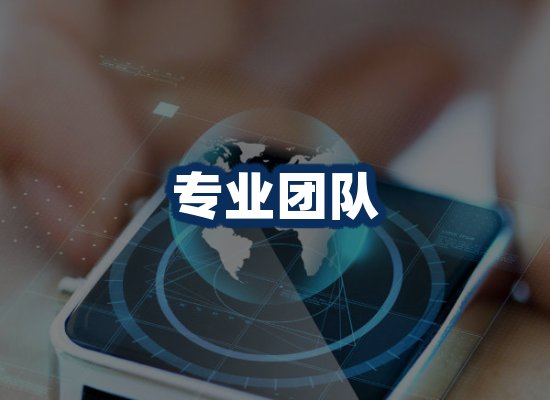 专业团队